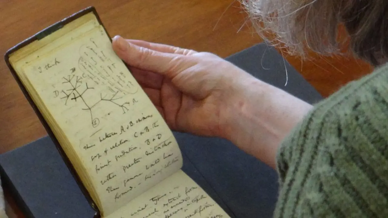 Buku Catatan Teori Evolusi Darwin