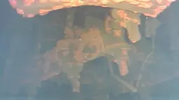 Robot bawah laut menunjukkan lelehan bahan bakar nuklir yang ditemukan di dasar penahanan utama inti reaktor nuklir Fukushima di kota Okuma, timur laut Jepang, (19/7). (International Research Institute for Nuclear Decommissioning via AP)