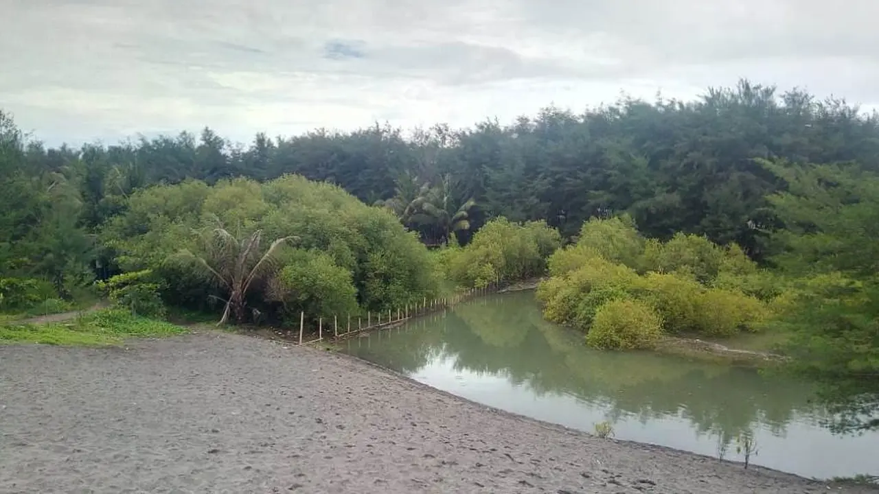 Pantai Laguna Desa Lembupurwo, Kebumen, habitat ikan, kepiting, udang dan penyu laut bertelur. (Foto: Liputan6.com/Marzuki untuk Muhamad Ridlo)