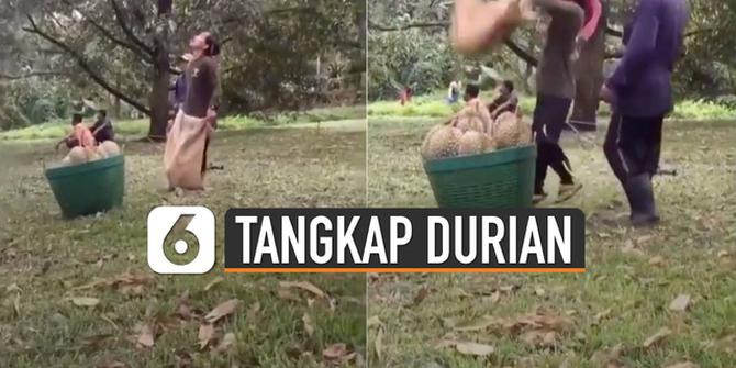 VIDEO: Aksi Pria Tangkap Durian Jatuh Bikin Deg-Degan