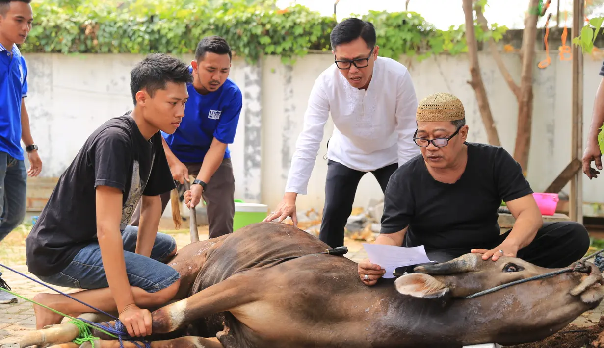 "Sapi saya serahkan ke anak-anak yang beli. Terserahlah. Saya percayakan ke mereka. Apa sama langganan atau sama yang lainnya. Yang penting saya mau di sini satu sapi, dan di lokasi lain satu sapi atau kambing," ujar Eko Patrio. (Adrian Putra/Bintang.com)