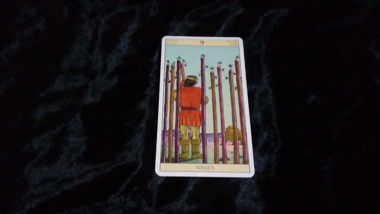 Tarot hari ini