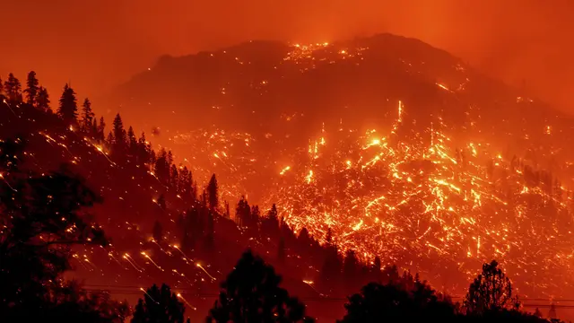 7 Penyebab Kabut Asap yang Wajib Diketahui, Lengkap Dampaknya bagi Kesehatan