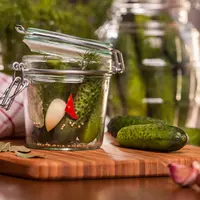 Ilustrasi acar mentimun./Copyright shutterstock.com