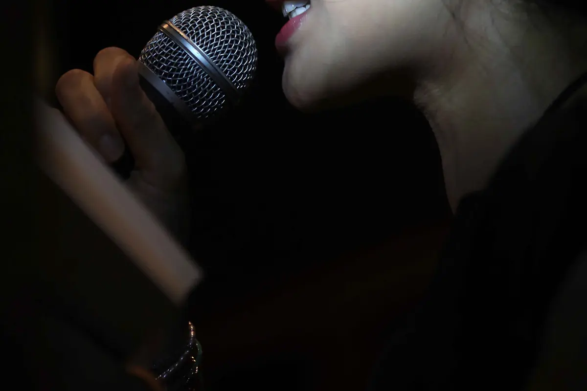 Dian Sastrowardoyo 