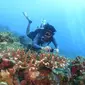 Diving menjadi salah satu agenda yang dilakoni tim Terios 7 Wonders di Pantai Puru Kambera di Sumba Timur, NTT. (ist)