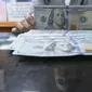 Petugas menunjukkan Dolar AS di toko penukaran uang di Jakarta, Selasa (7/6). Langkah wait and see para pelaku bisnis menambah tekanan terhadap dollar AS. Mata uang dollar AS terhadap rupiah dibuka Rp13.361. (Liputan6.com/Angga Yuniar)