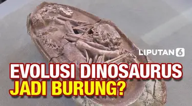 Sebuah studi baru yang meneliti embrio dari fosil telur dinosaurus memberikan bukti lebih lanjut dalam mendukung gagasan bahwa burung modern berevolusi dari dinosaurus.