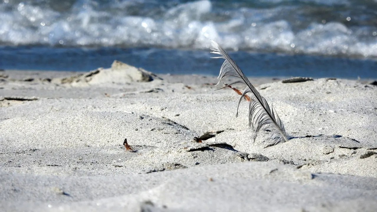 Ancaman Penjara Bagi Turis yang Curi Pasir di Sardinia