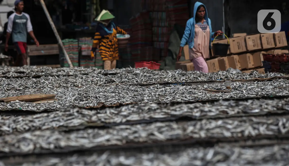 Pekerja menjemur ikan asin di sentra produksi kawasan Kampung Nelayan Muara Angke, Jakarta, Kamis,(17/2/2022). Kementerian Keuangan mengalokasikan anggaran untuk program Pemulihan Ekonomi Nasional (PEN) tahun 2022 sebesar Rp455,62 triliun. (Liputan6.com/Johan Tallo)