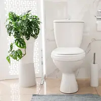 Ilustrasi ide toilet minimalis dengan desain estetik. (c)&nbsp;NewAfrica/Depositphotos.com