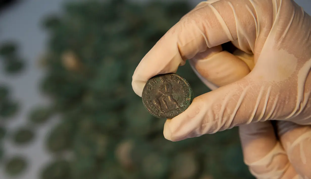 Seorang arkeolog memperlihatkan koin kuno Romawi yang disimpan di museum arkeologi di Sevilla, Kamis (28/4). Koin kuno berbobot total 600 kg itu ditemukan ketika pekerja konstruksi  sedang mengerjakan proyek pipa air di Spanyol Selatan. (Gogo Lobato/AFP)
