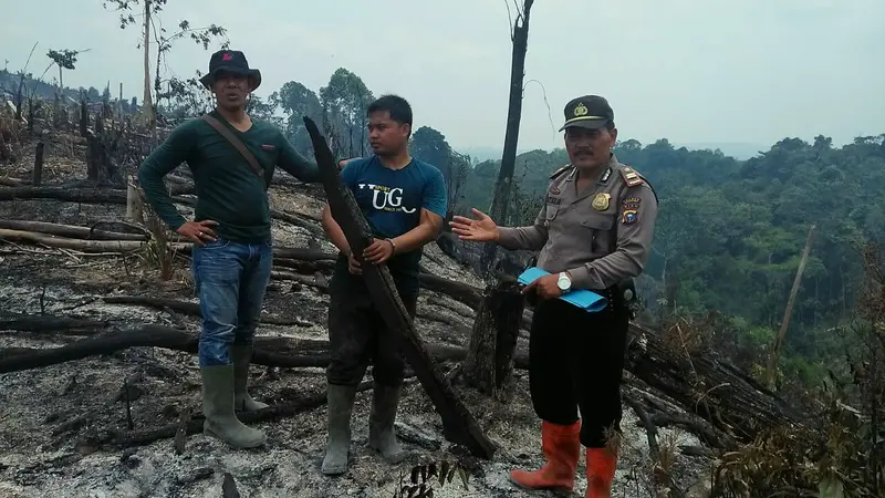 Nasib Apes Petani Riau Gara-Gara Abaikan Nasihat Mertua