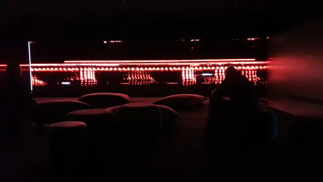 The Great Animal Orchestra