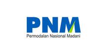 Logo PNM.