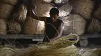 Seorang pekerja menyiapkan rotan untuk diekspor di sebuah bengkel di Banda Aceh (16/10/2019). Aceh merupakan salah satu sentra produksi rotan terbesar di Sumatera. (AFP Photo/Chaideer Mahyuddin)