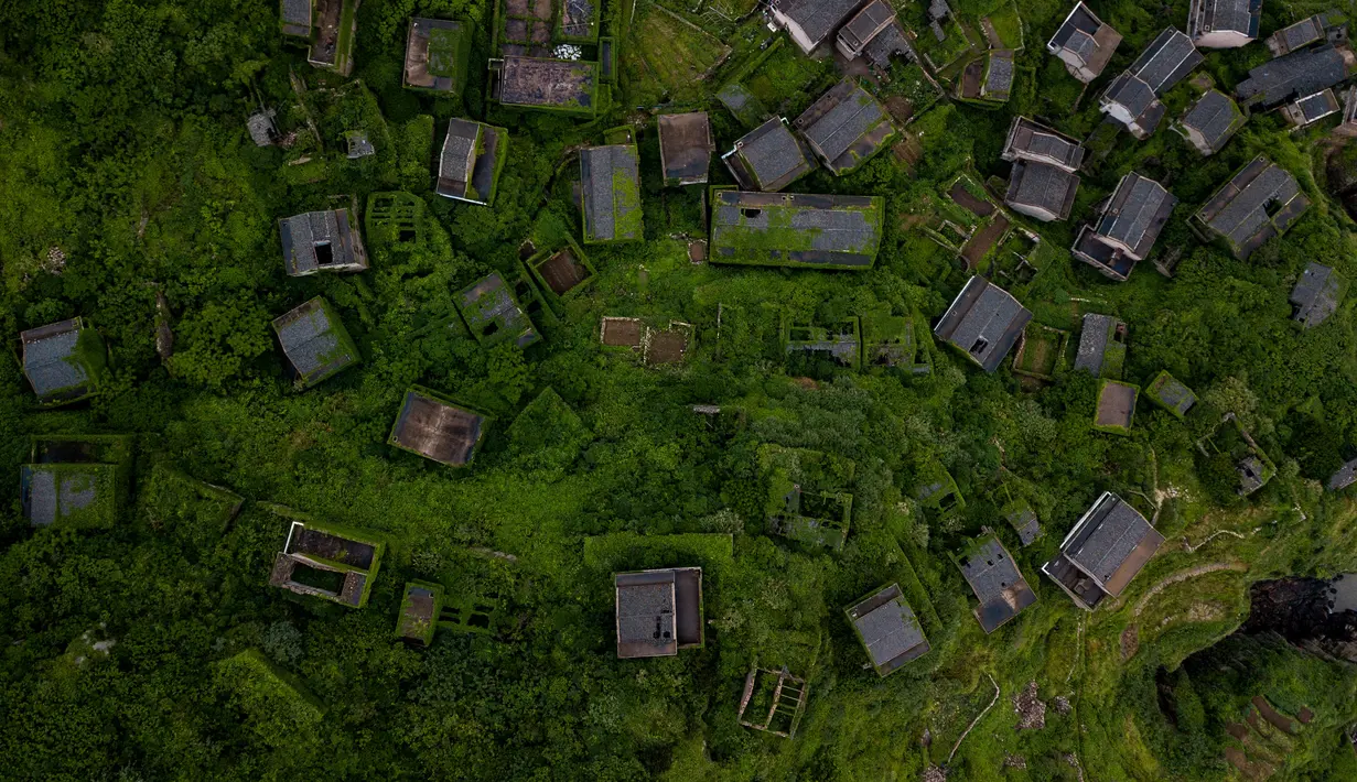Pemadangan dari atas di sebuah desa yang rumah-rumanya ditutupi tumbuhan di Houtouwan di pulau Shengshan, provinsi Zhejiang, China (31/5). (AFP/Johannes Eisele)