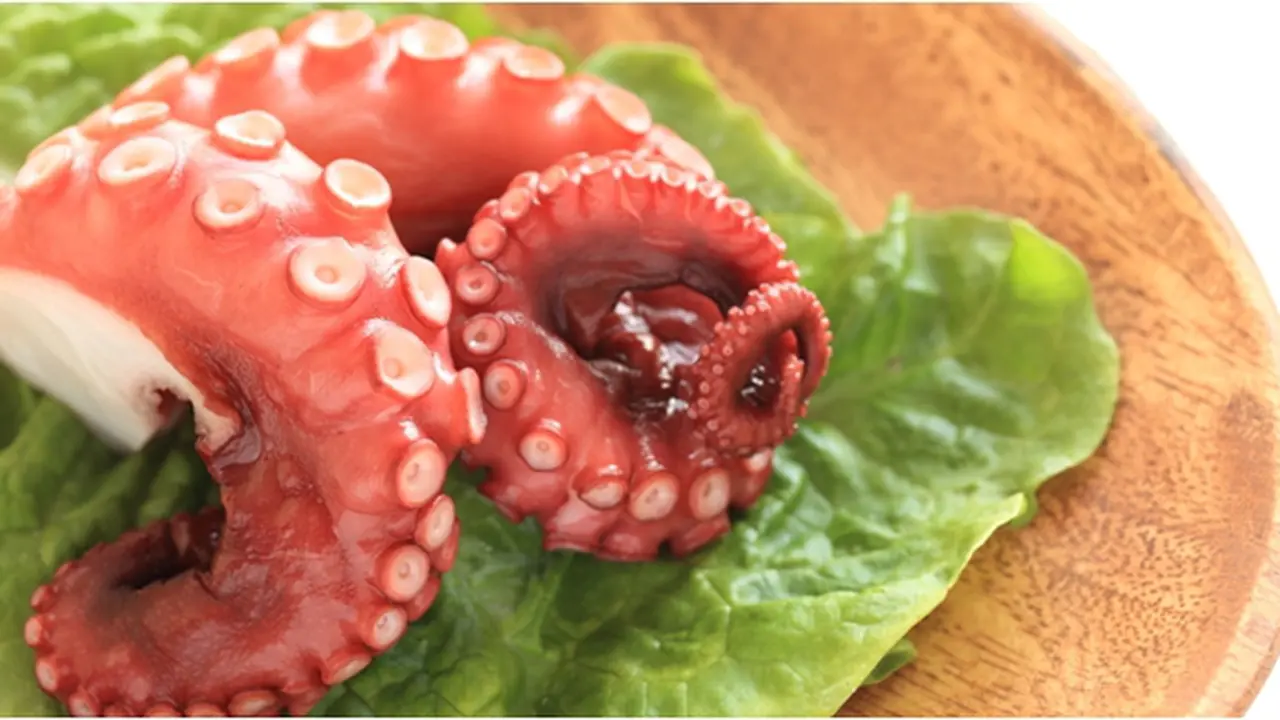 Courtesy ShutterStock.com