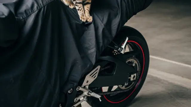 Ilustrasi Jok Motor
