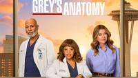 Grey's Anatomy Season 22 Premiere: Everything You Need to Know