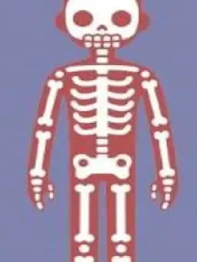 Kerangka