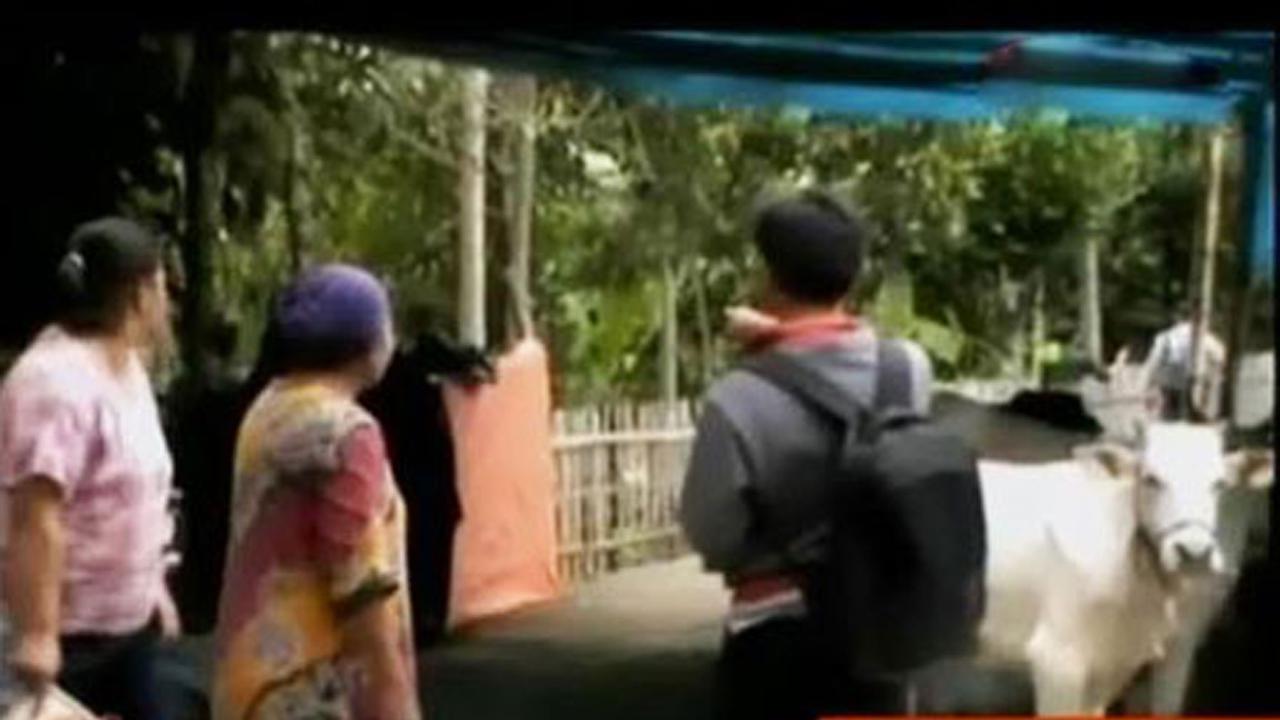 VIDEO: Jambi Banjir, Warga Mengungsi di Tenda dan Kandang Ternak