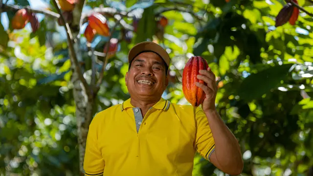 Petani cokelat di Bali/dok. Talasi