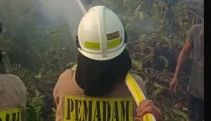 Kebakaran Dekat Stasiun Kampung Bandan Diduga Akibat Rokok, KRL Terganggu