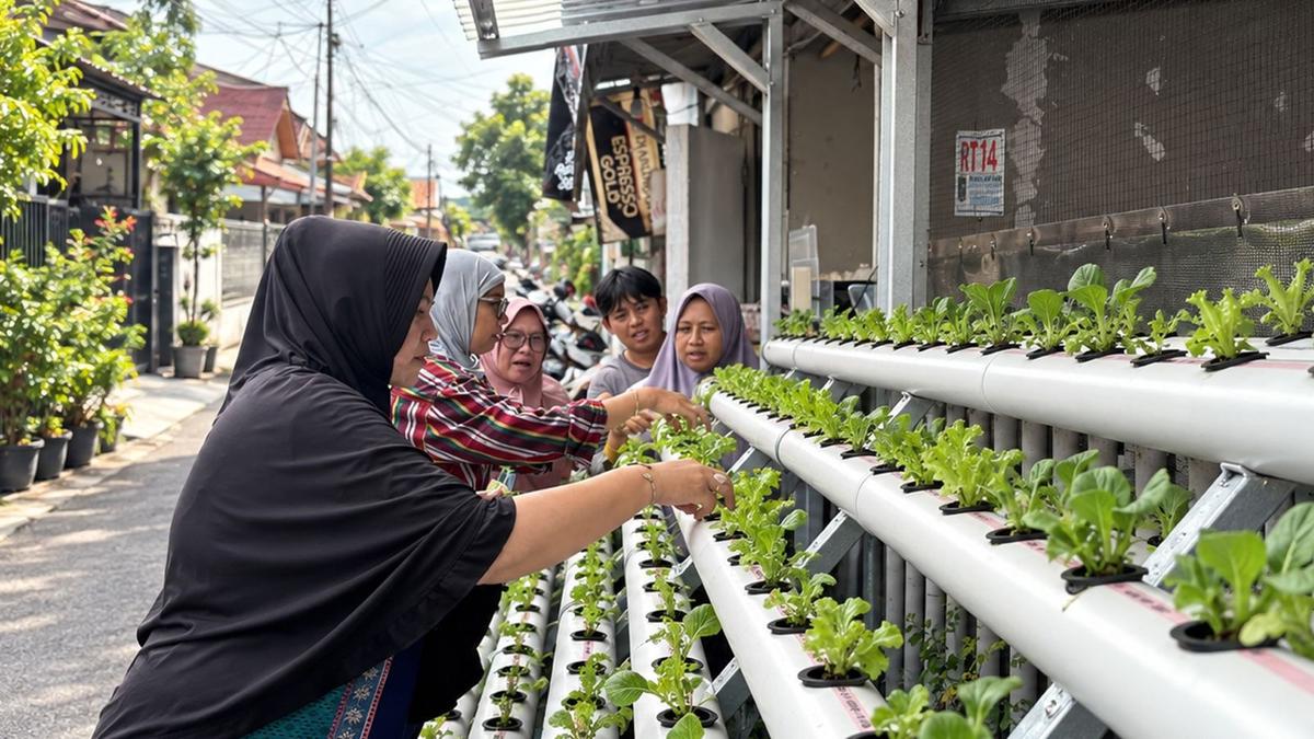 Lahan Terbatas Bukan Halangan, PNM Ajak Nasabah Mekaar Kembangkan Pertanian Urban