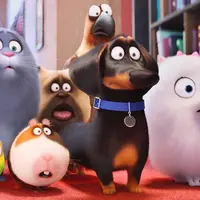 The Secret Life of Pets. foto: youtube