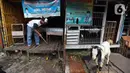 Pedagang membersihkan kandang kambing di kios hewan ternak kawasan Buaran, Jakarta Timur, Jumat, (10/6/2022). Debri, salah satu pedagang kambing di kios hewan Buaran memasok kambing dengan harga Rp 2,5 juta sampai Rp 7 jutaan. (Liputan6.com/Johan Tallo)