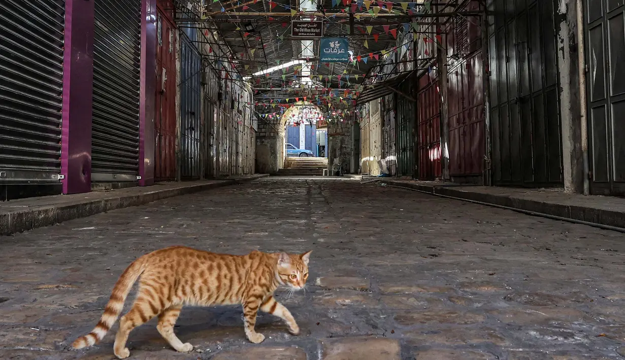 Seekor kucing melintasi di dekat toko-toko yang tutup menyusul seruan pemogokan umum untuk mendukung warga Palestina di Jalur Gaza, di kota Nablus di Tepi Barat, pada 25 Oktober 2023. (Zain JAAFAR/AFP)