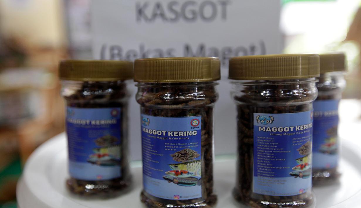 Festival ini diisi berbagai kegiatan menarik mulai dari talkshow, pameran, workshop, demo terkait pengelolaan sampah. (Liputan6.com/Johan Tallo)