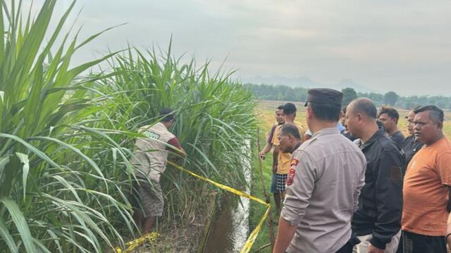 Pemuda Desa Ditemukan Tewas di Kebun, Lehernya Penuh Luka Sayatan