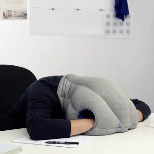 Ostrich Pillow