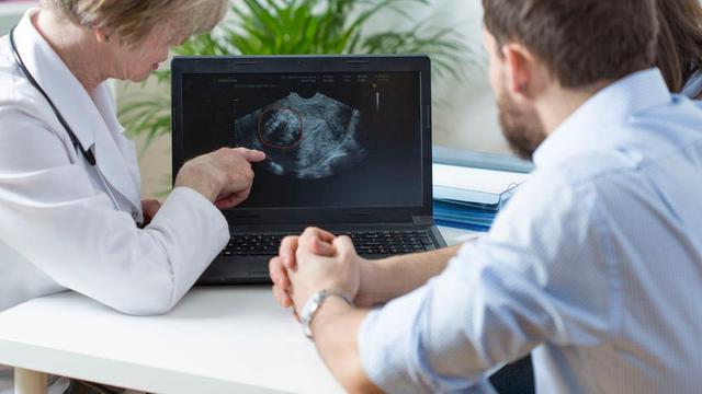 Tahapan Perkembangan Janin di Dalam Kandungan