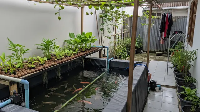 Model Halaman Belakang Rumah Kecil dengan Kolam Ikan Lele atau Nila untuk Konsumsi/ Ilustrasi AI