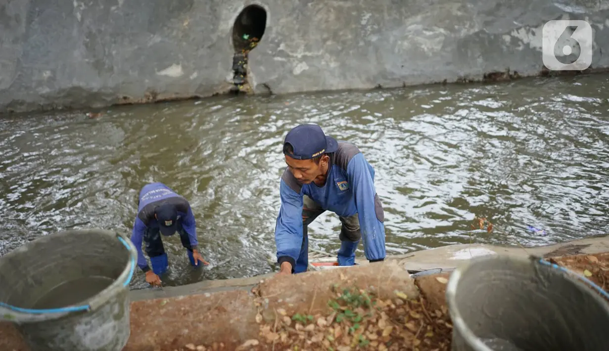 Petugas menyemen dinding turap Kali Baru Barat di kawasan Manggarai, Jakarta, Kamis (14/11/2019). Hal tersebut dilakukan sebagai bentuk perawatan rutin untuk mencegah kelongsoran turap menjelang musim hujan. (Liputan6.com/Immanuel Antonius)