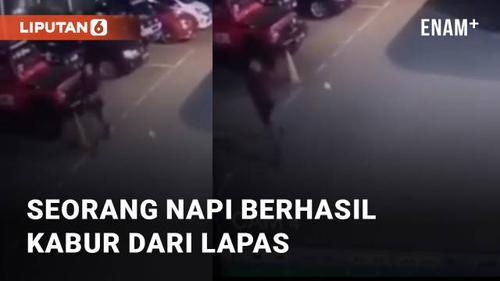 VIDEO: Kabur dari Lapas, Seorang Napi Berhasil Ditangkap Kembali