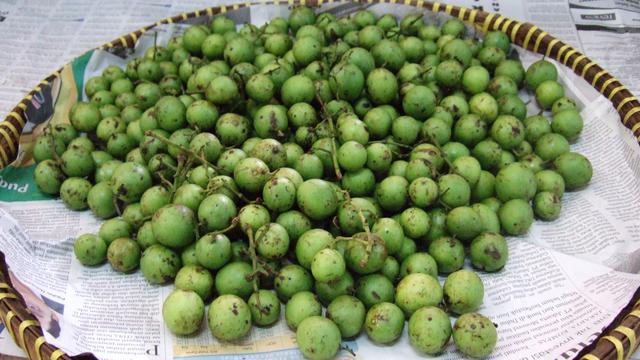 Buah Asli Indonesia (sumber: wikipedia)