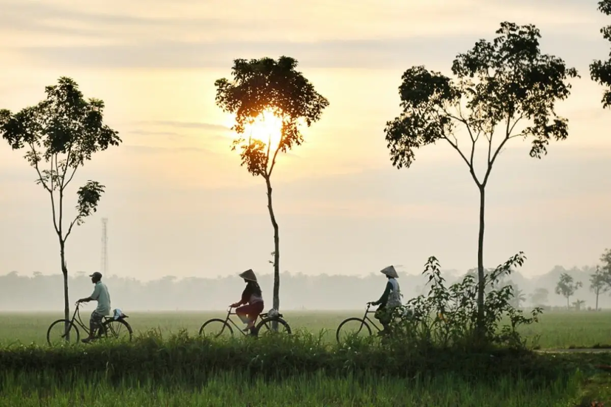 Happiness Festival 2020: Webinar Ajak Masyarakat Indonesia Hidup Bahagia, Bertoleransi, dan Lestarikan Alam