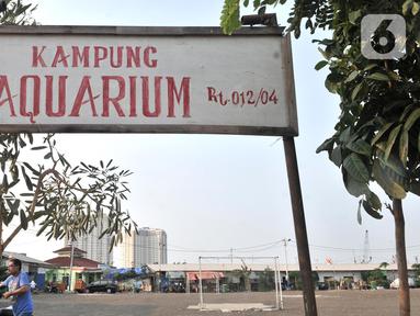 6600 Desain Kampung Akuarium HD Terbaik