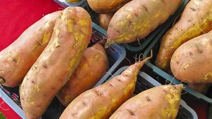 Foto : Copyright Thinkstockphotos.com