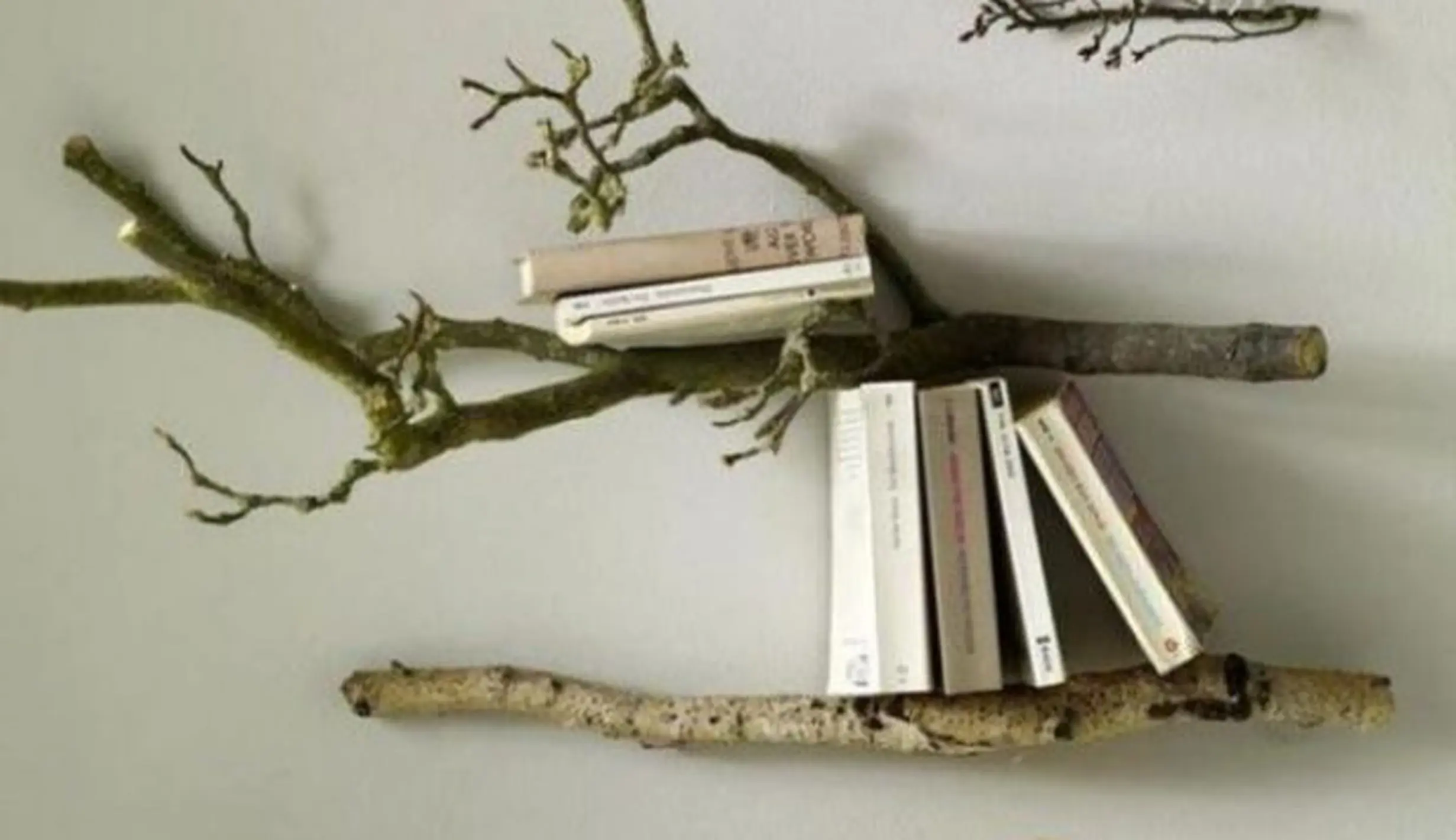 Inspirasi DIY Ranting Pohon Untuk Dekorasi Rumah Low-Budget - Photo ...