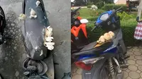 10 Motor Tak Pernah Dipakai Ini Bikin Geleng Kepala, Jadi Tempat Jamur