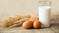 Kekurangan Asupan Kolin Miliki Kaitan dengan Gangguan Cemas, Pakar Dorong Konsumsi Produk Peternakan