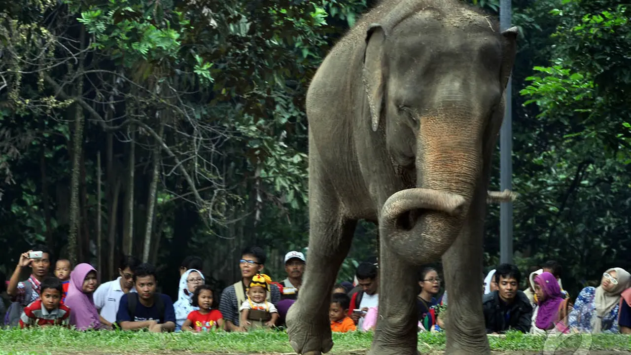 Libur Natal, Warga Jakarta Padati Ragunan