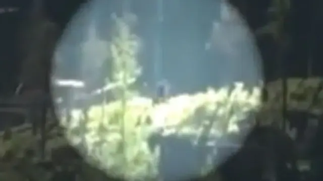 [VIDEO] Inikah Penampakan Monster Bigfoot yang Bikin Kecelakaan?