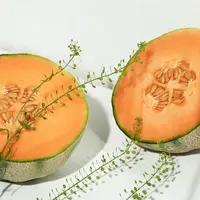 ilustrasi Manfaat Buah Melon/Otherness TV/unsplash.com