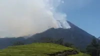 Kebakaran Gunung Slamet merembet dari Kabupaten Brebes ke Kabupaten Banyumas, Jawa Tengah. (Foto: Liputan6.com/Perhutani/Muhamad Ridlo)